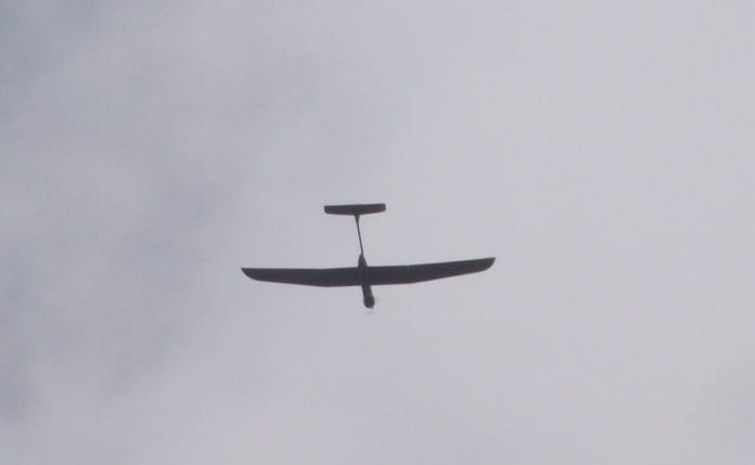 Israelsk dronefly