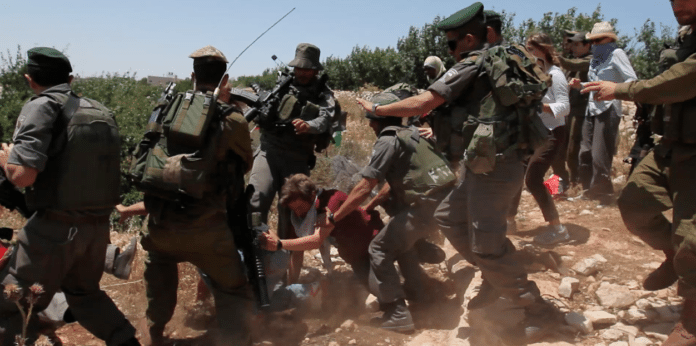 IDF arresterer demonstrant ved Beit Ommar, 18. juni 2011. (Illustrasjonsfoto: Palestinian Solidarity Project) IDF arresterer demonstrant ved Beit Ommar, 18. juni 2011. Illustrasjonsfoto: Palestinian Solidarity Project.