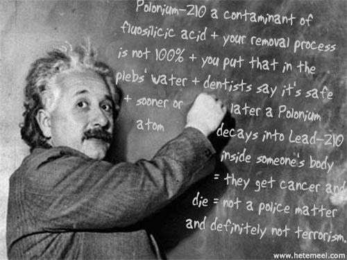 Undersøkelsen om israeleres forhold til forskning ble publisert på Albert Einsteins bursdag 14. mars.