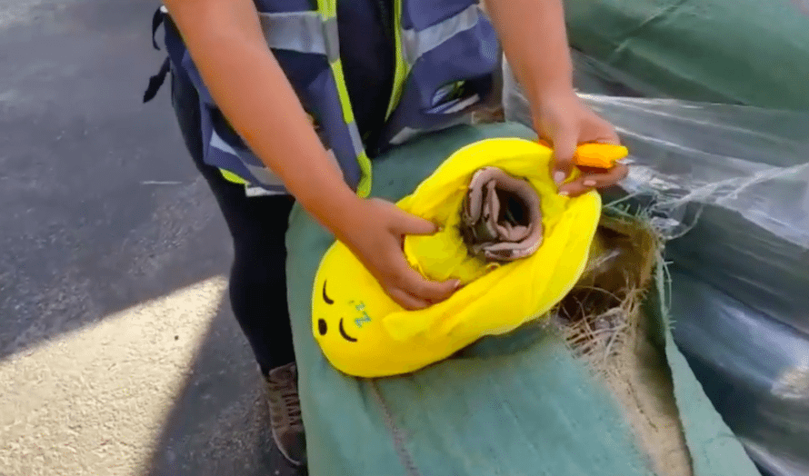 Inne i slike uskyldige emoji-tøfler skal Hamas ha forsøkt å smugle militærutstyr. (Foto: Skjermdump YouTube)