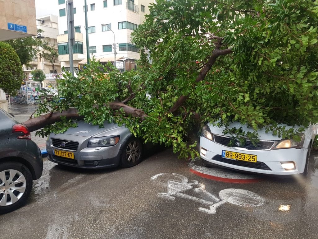 Vinden rev ned dette treet i Ben Yehuda-gaten i Tel Aviv. (Foto: Twitter/Hadashot 10)
