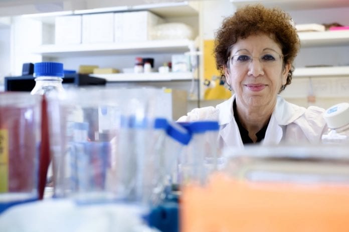 Prof. Varda Shoshan-Barmatz Professor Varda Shoshan-Barmatz har ledet forskningsarbeidet ved universitet. (Foto: BGU)