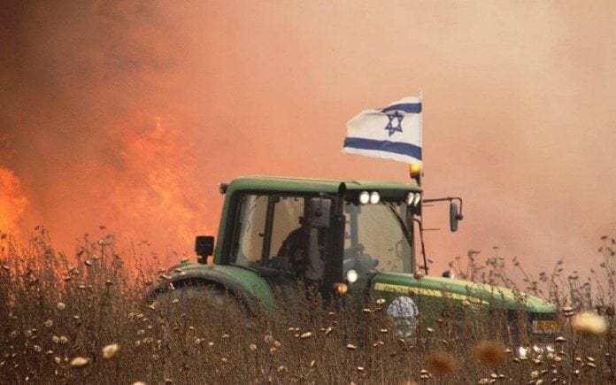 Brann i Israel De kraftige brannene som dragene forårsaker, har så langt ikke kostet menneskeliv, men har gått hardt utover dyrelivet.