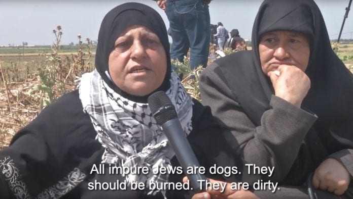 Palestinsk kvinne: Palestinsk kvinne: