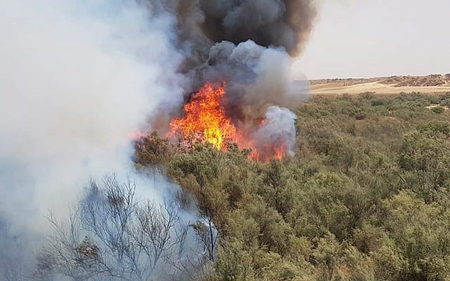 De siste månedene har over tusen branner herjet i Sør-Israel, men nå har situasjonen roet seg. (Foto: Brannvesenet)