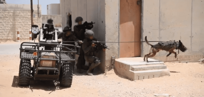 IDF5 Det israelske forsvarets nye
