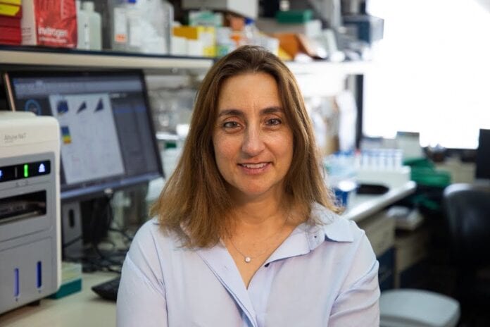 Ronit Satchi-Fainaro3