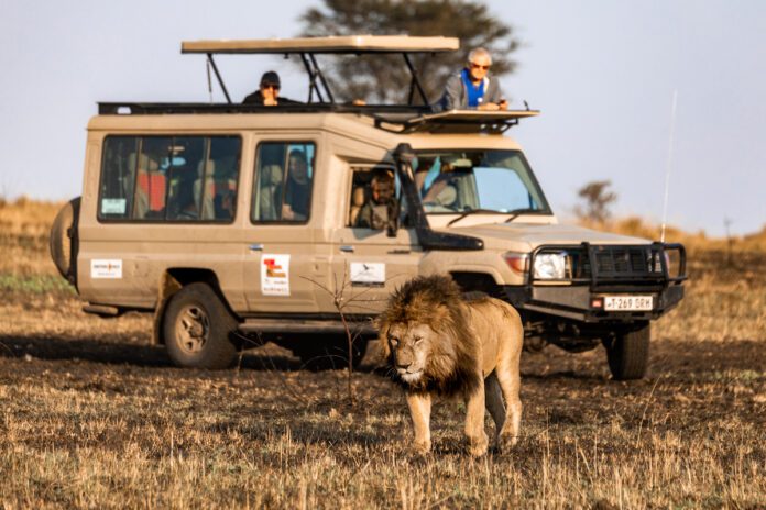 Safari i Tanzania